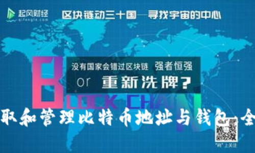 如何获取和管理比特币地址与钱包：全面指南