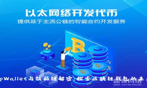 tpWallet与饭桶链解密：探索区块链钱包的未来