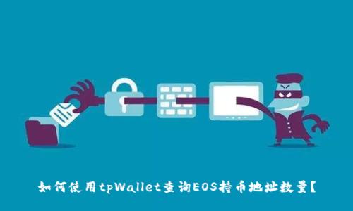 如何使用tpWallet查询EOS持币地址数量？