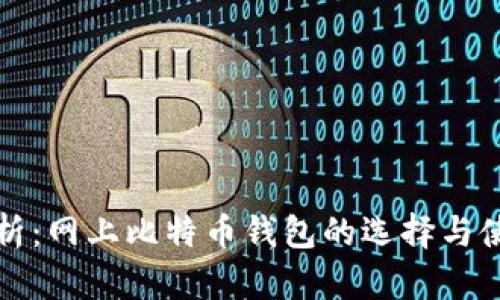 全面解析：网上比特币钱包的选择与使用指南