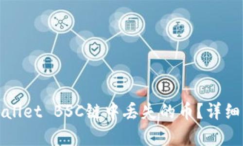 如何找回在tpWallet BSC链中丢失的币？详细解析与解决方案