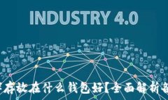   LTC（莱特币）存放在什么