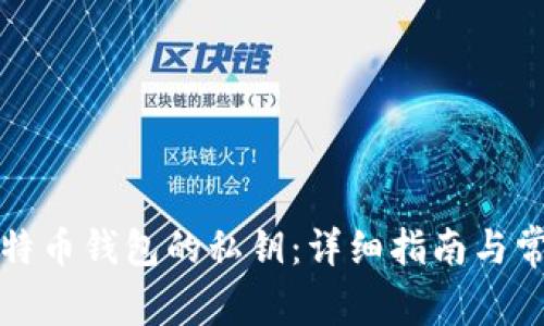 如何查看比特币钱包的私钥：详细指南与常见问题解答