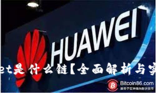 tpWallet是什么链？全面解析与实用指南