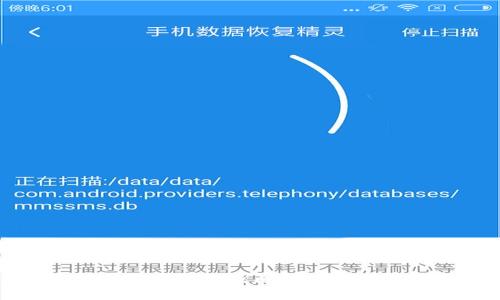 全面解析比特币钱包及比特地址的使用与管理