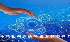 比特币钱包同步块的重要性与操作指南
