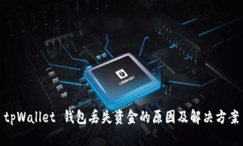 tpWallet 钱包丢失资金的原因及解决方案
