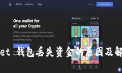 tpWallet 钱包丢失资金的原因及解决方案