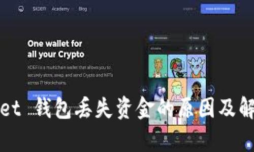 tpWallet 钱包丢失资金的原因及解决方案