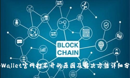 tpWallet官网打不开的原因及解决方法详细分析