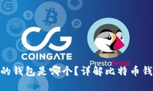 题目: 比特币最初的钱包是哪个？详解比特币钱包的演变与安全性