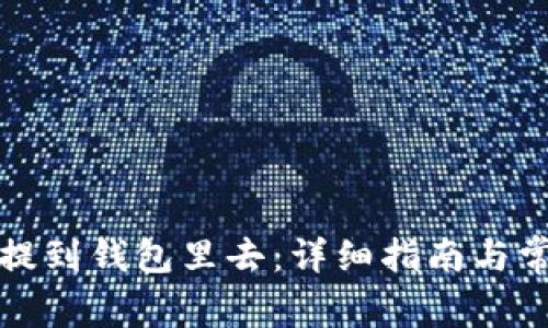 如何把屎币提到钱包里去：详细指南与常见问题解析
