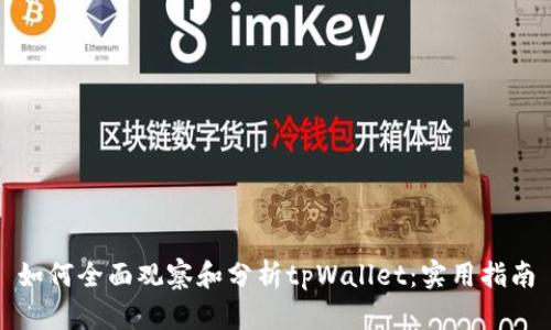 如何全面观察和分析tpWallet：实用指南