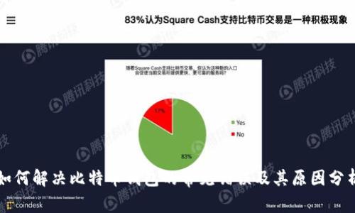 如何解决比特币钱包的常见错误及其原因分析