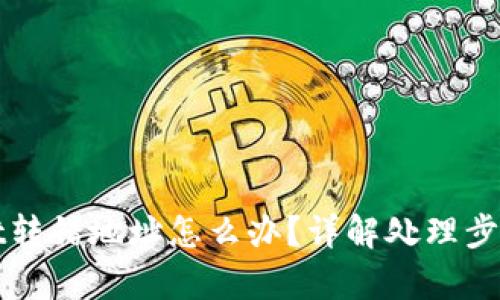 tpWallet转错地址怎么办？详解处理步骤与技巧