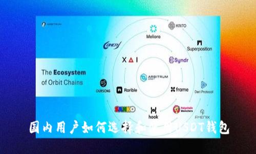 国内用户如何选择和使用USDT钱包