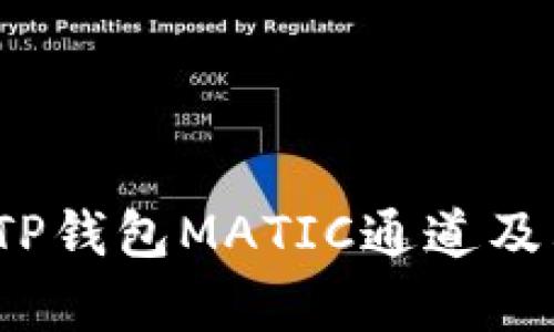 深入解析：TP钱包MATIC通道及其使用指南