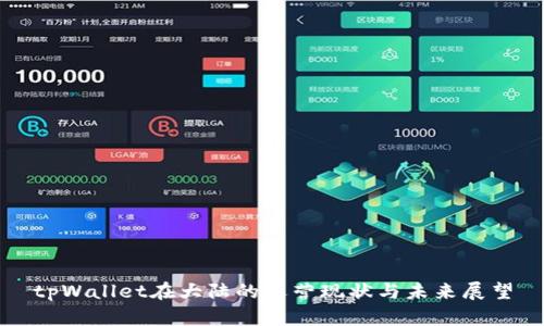 tpWallet在大陆的运营现状与未来展望