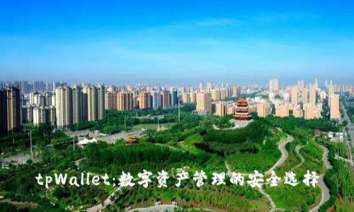 tpWallet：数字资产管理的安全选择