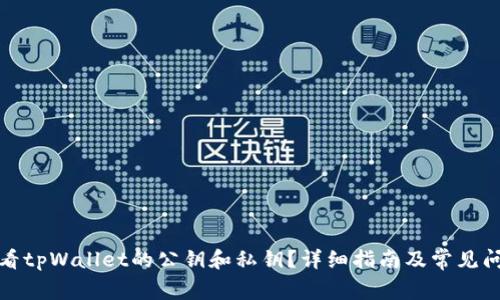 如何查看tpWallet的公钥和私钥？详细指南及常见问题解答